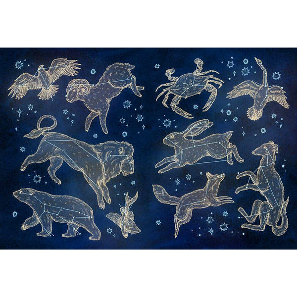 The Collector's Curio: A Sticker Treasury