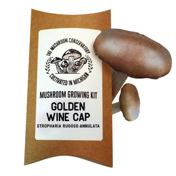 Golden Wine Cap Mushroom Growing Kit