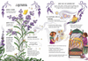A Guide to Plants for Little Witchlings - DIGS