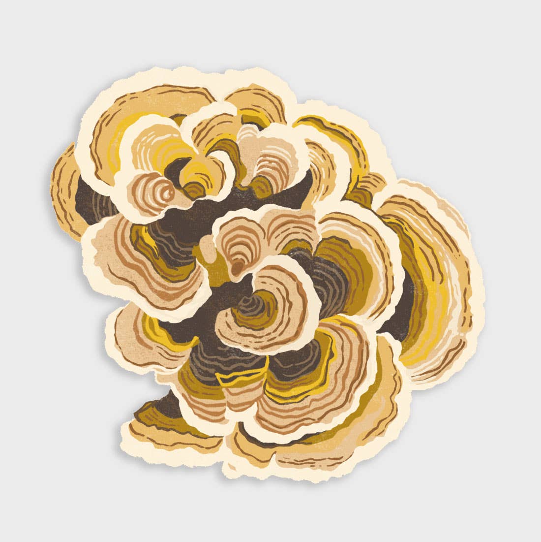 Turkey Tail Mushroom Sticker