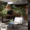 Adirondack Bench - DIGS