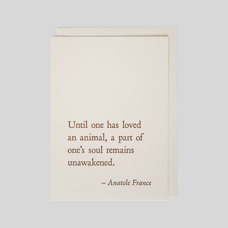 Anatole France - Animal Card - DIGS