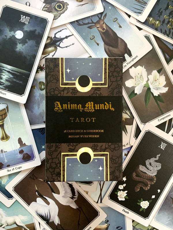 Anima Mundi Tarot Deck - DIGS