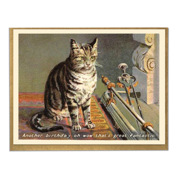 Another Birthday Cat Card - DIGS