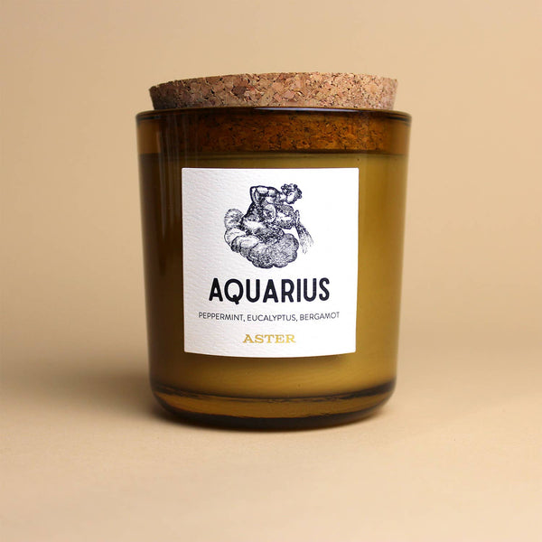 Aquarius Zodiac Candle - DIGS