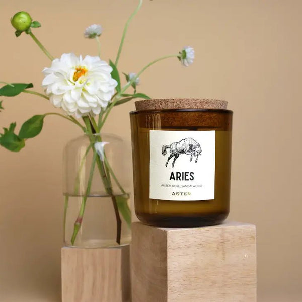 Aries Zodiac Candle - DIGS