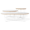 Array Coffee Table, Oval - DIGS