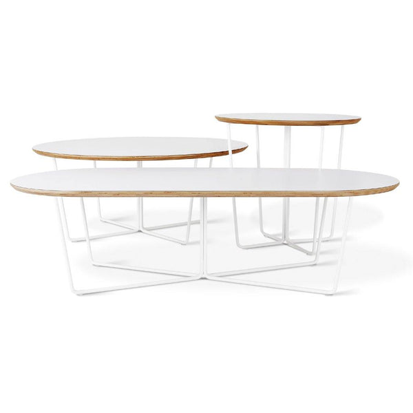 Array Coffee Table, Oval - DIGS