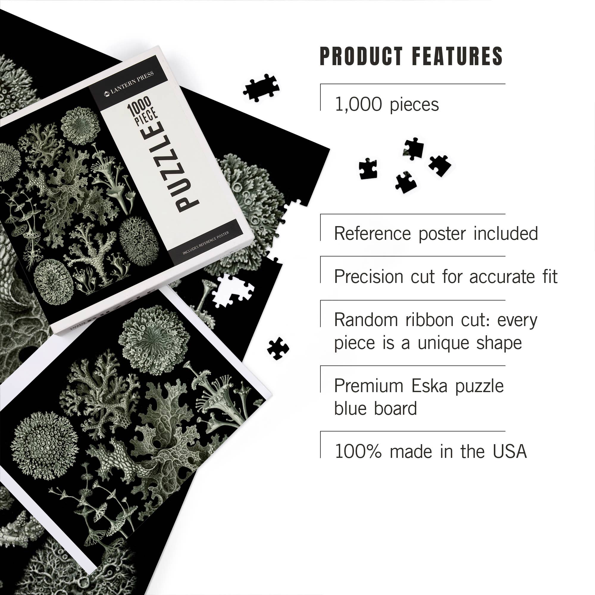 Art Forms in Nature: Lichen by Ernst Haeckel 1000 Piece Puzzle - DIGS