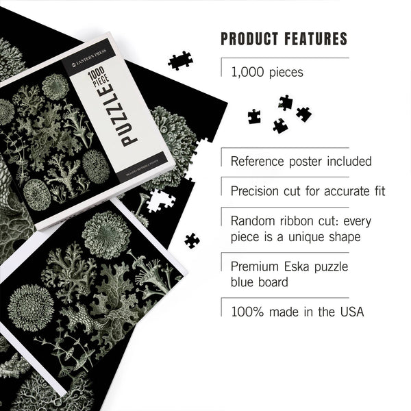 Art Forms in Nature: Lichen by Ernst Haeckel 1000 Piece Puzzle - DIGS