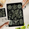 Art Forms in Nature: Lichen by Ernst Haeckel 1000 Piece Puzzle - DIGS