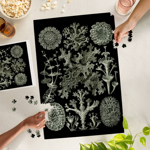 Art Forms in Nature: Lichen by Ernst Haeckel 1000 Piece Puzzle - DIGS
