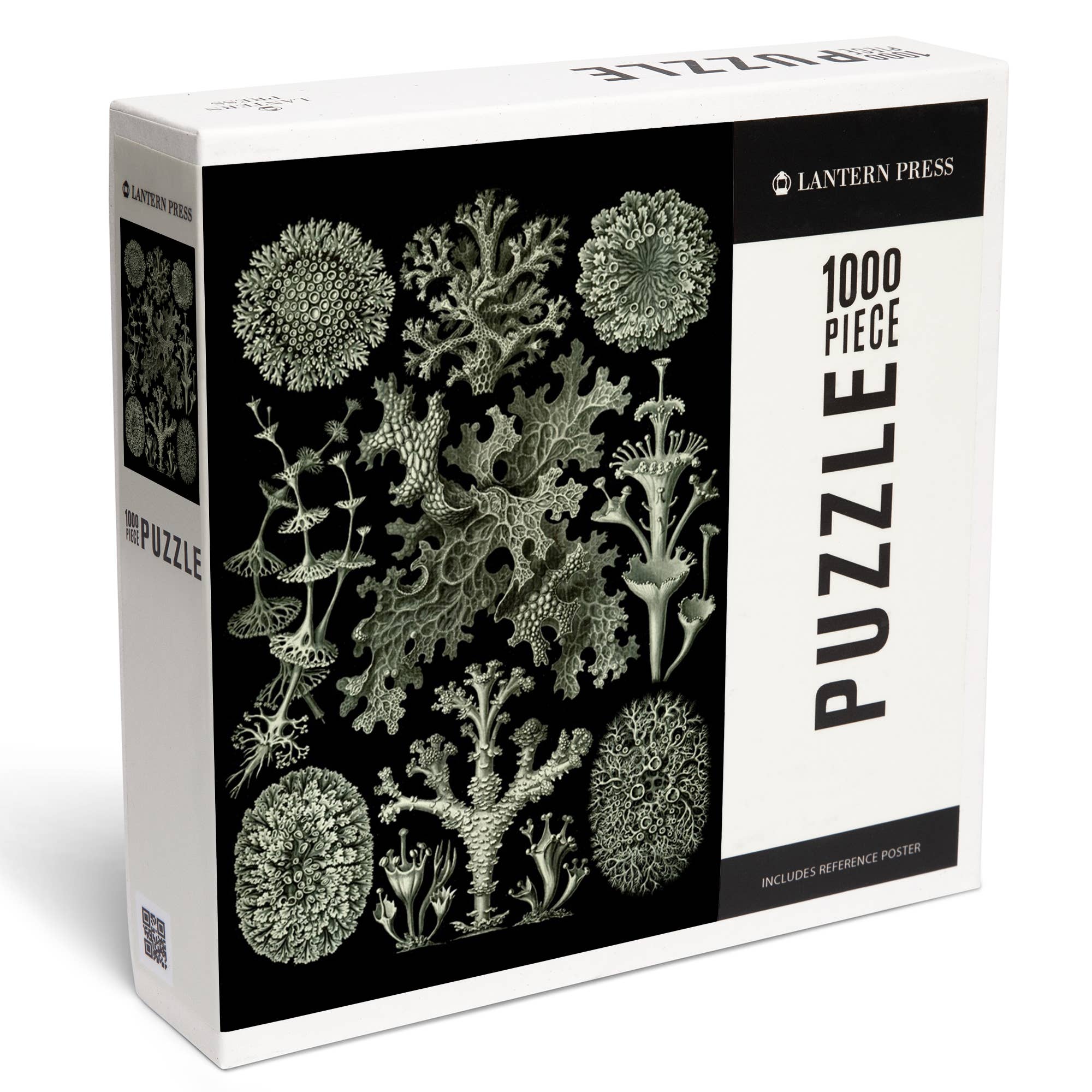 Art Forms in Nature: Lichen by Ernst Haeckel 1000 Piece Puzzle - DIGS