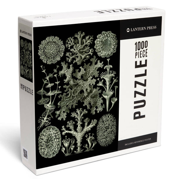 Art Forms in Nature: Lichen by Ernst Haeckel 1000 Piece Puzzle - DIGS
