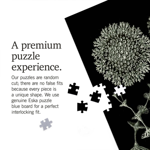 Art Forms in Nature: Lichen by Ernst Haeckel 1000 Piece Puzzle - DIGS
