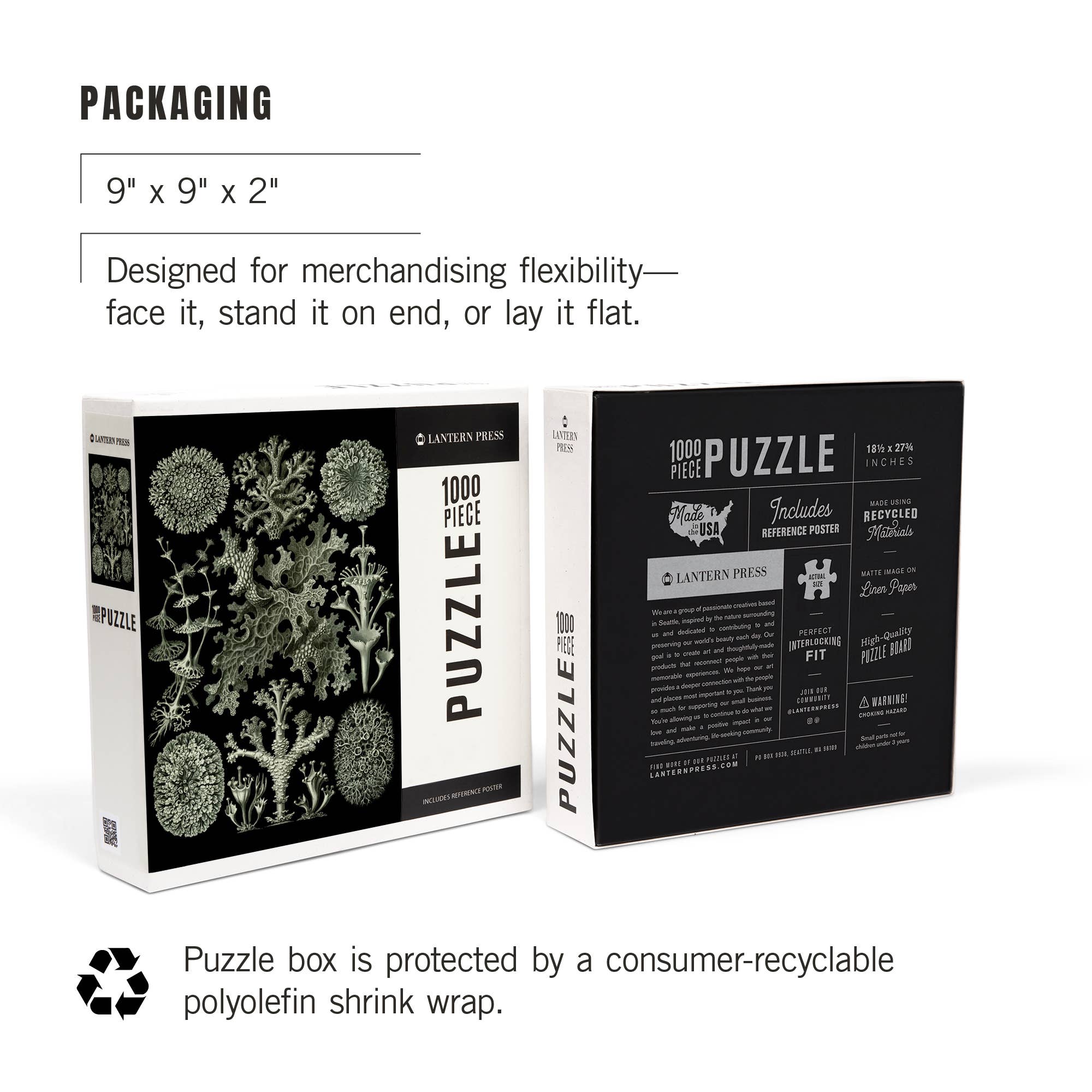 Art Forms in Nature: Lichen by Ernst Haeckel 1000 Piece Puzzle - DIGS