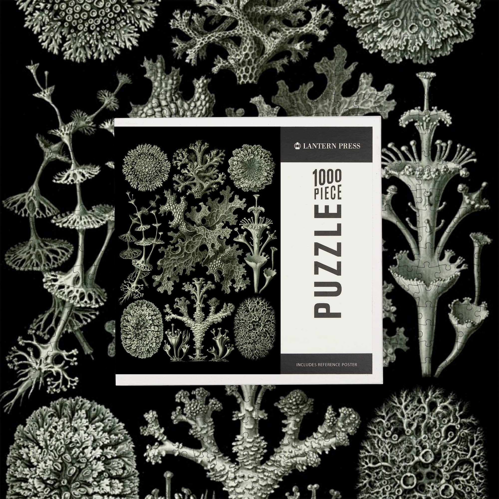 Art Forms in Nature: Lichen by Ernst Haeckel 1000 Piece Puzzle - DIGS