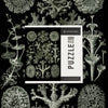 Art Forms in Nature: Lichen by Ernst Haeckel 1000 Piece Puzzle - DIGS