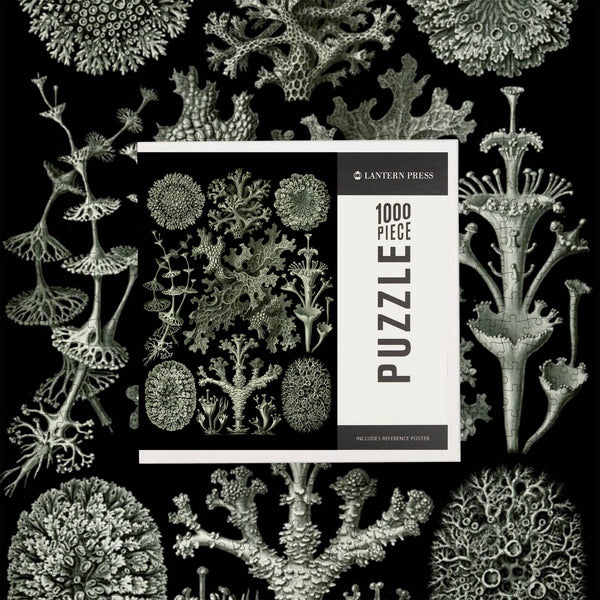 Art Forms in Nature: Lichen by Ernst Haeckel 1000 Piece Puzzle - DIGS