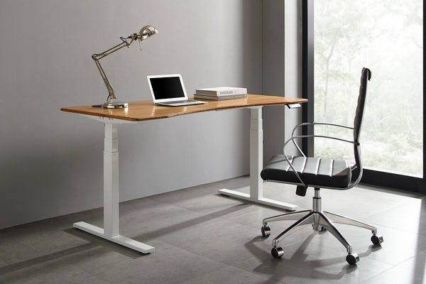 Ascent Hi - Low Desk - DIGS