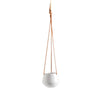 Ashbury Hanging Planter: Small - DIGS