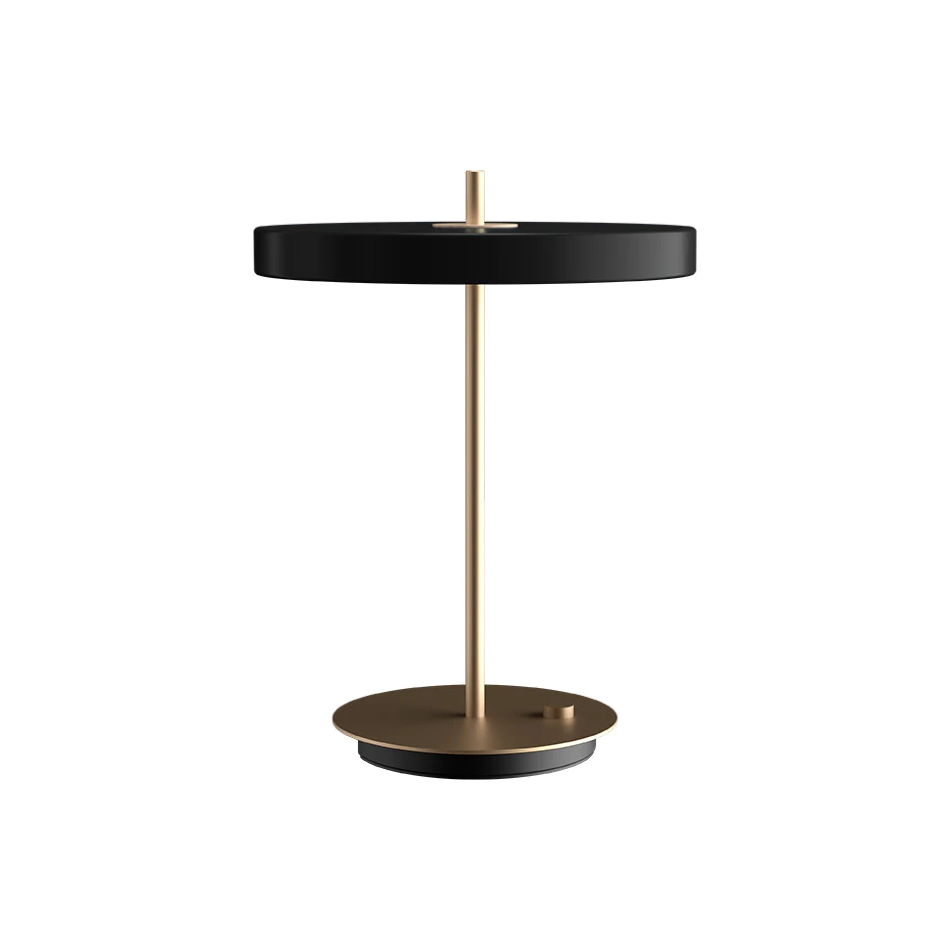 Asteria Table Lamp - DIGS