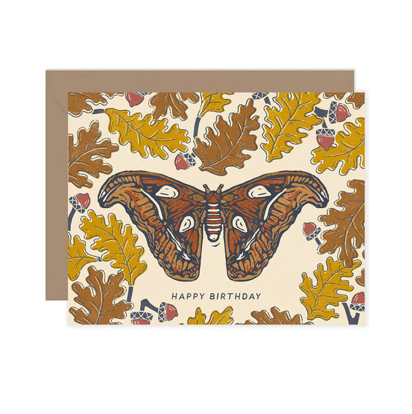 Atlas Moth Autumn Happy Birthday Card - DIGS