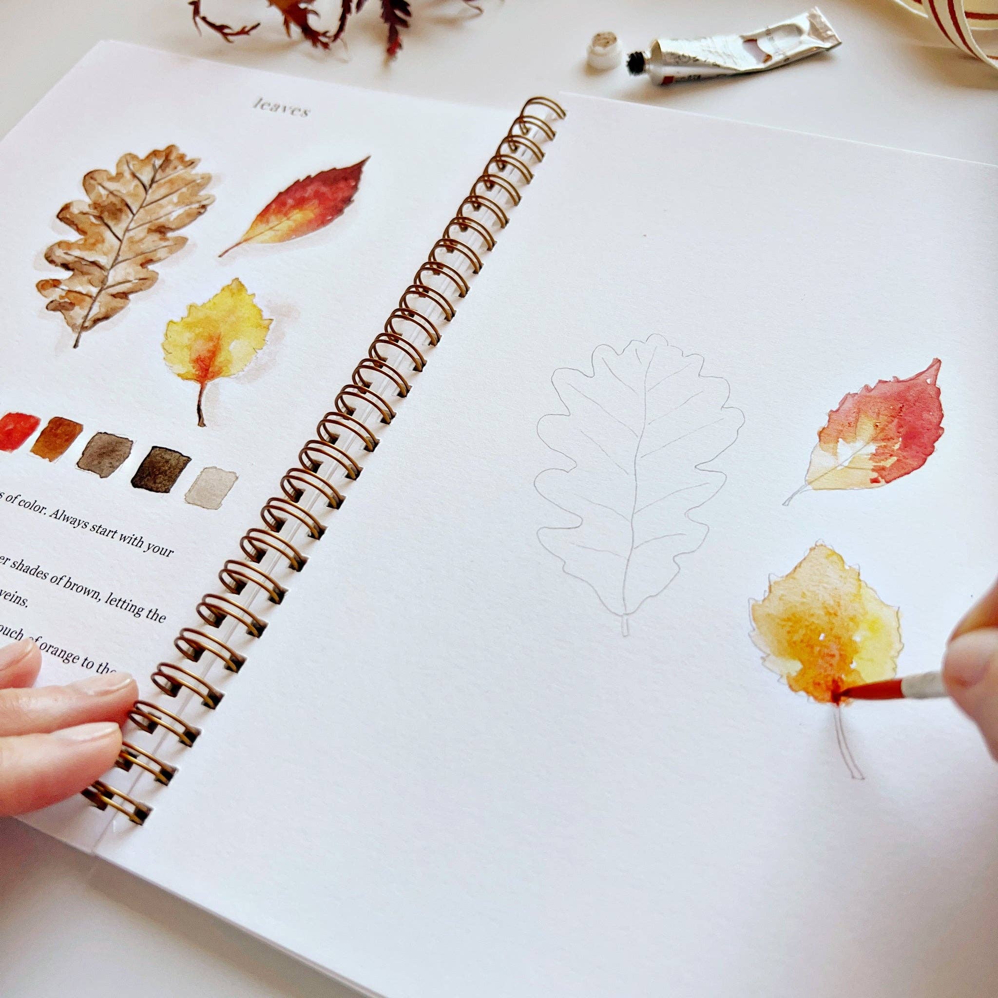 Autumn Watercolor Workbook - DIGS