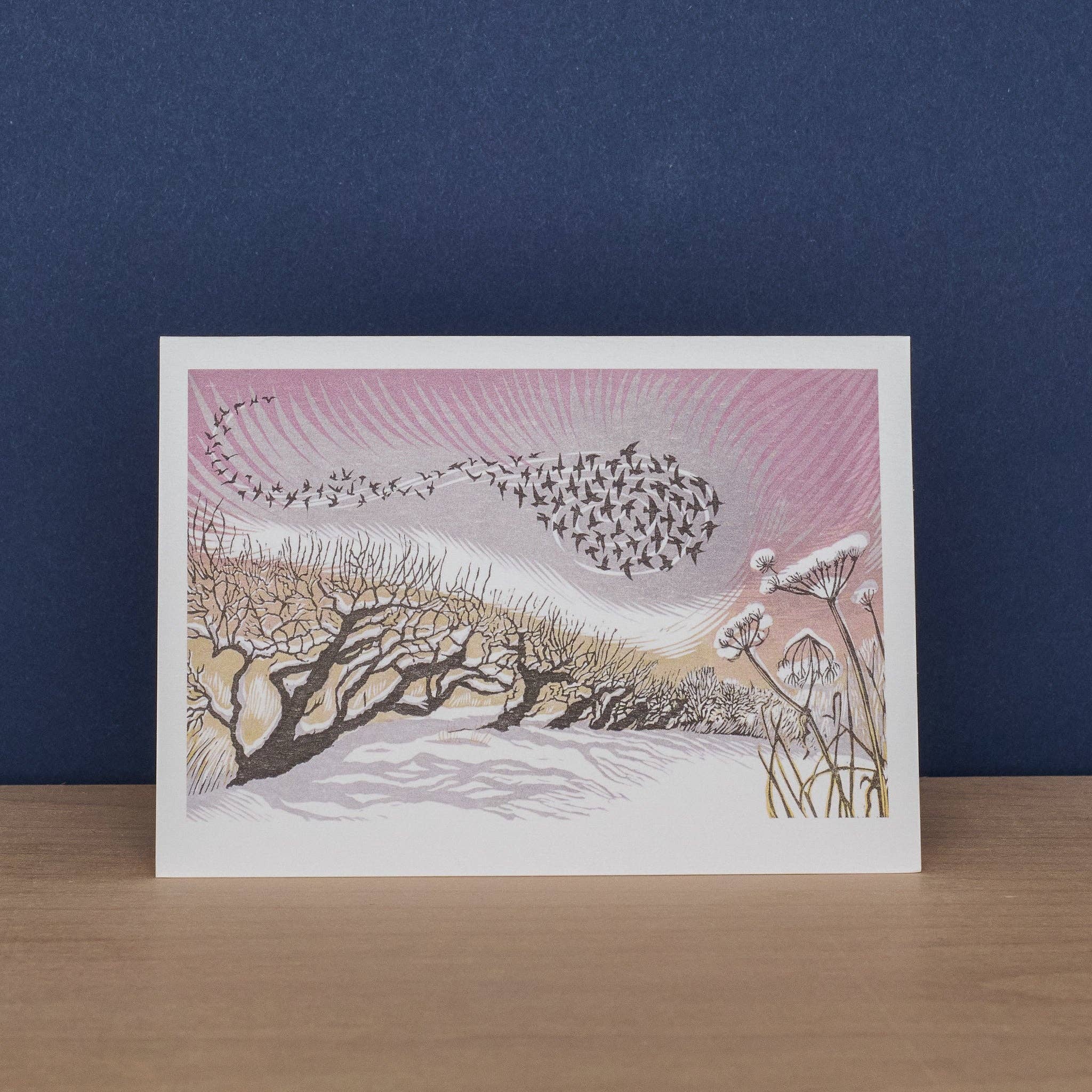 Winter Hares & Starlings Boxed Set of Cards