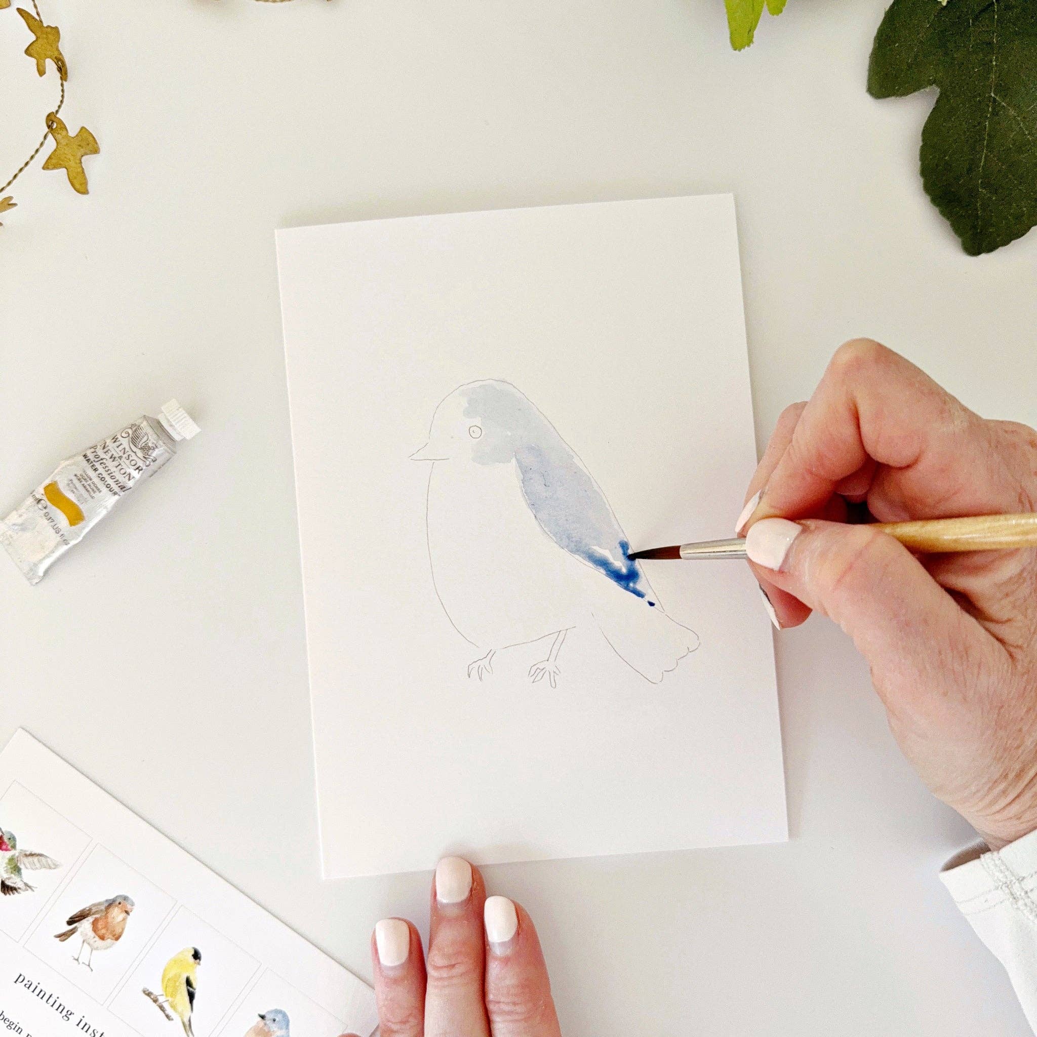 Backyard Birds Paintable Notecards - DIGS