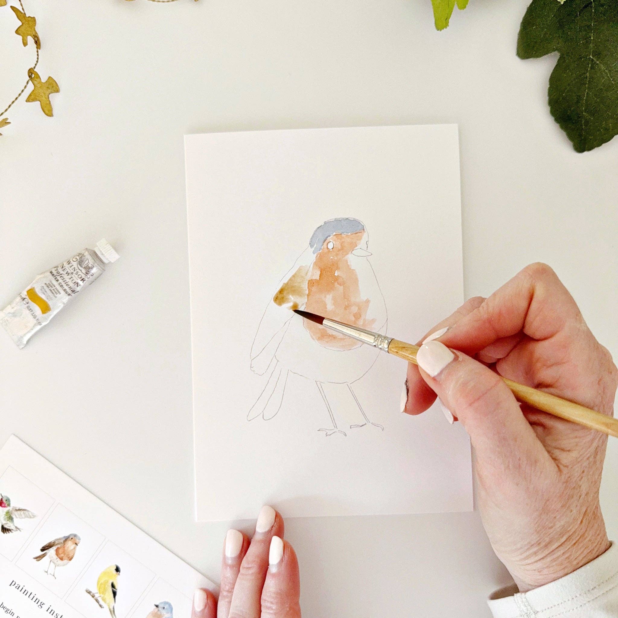 Backyard Birds Paintable Notecards - DIGS