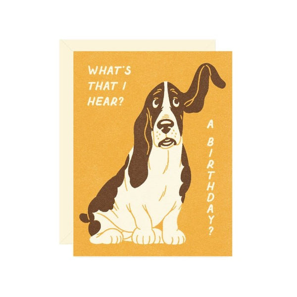 Basset Hound Birthday Card - DIGS