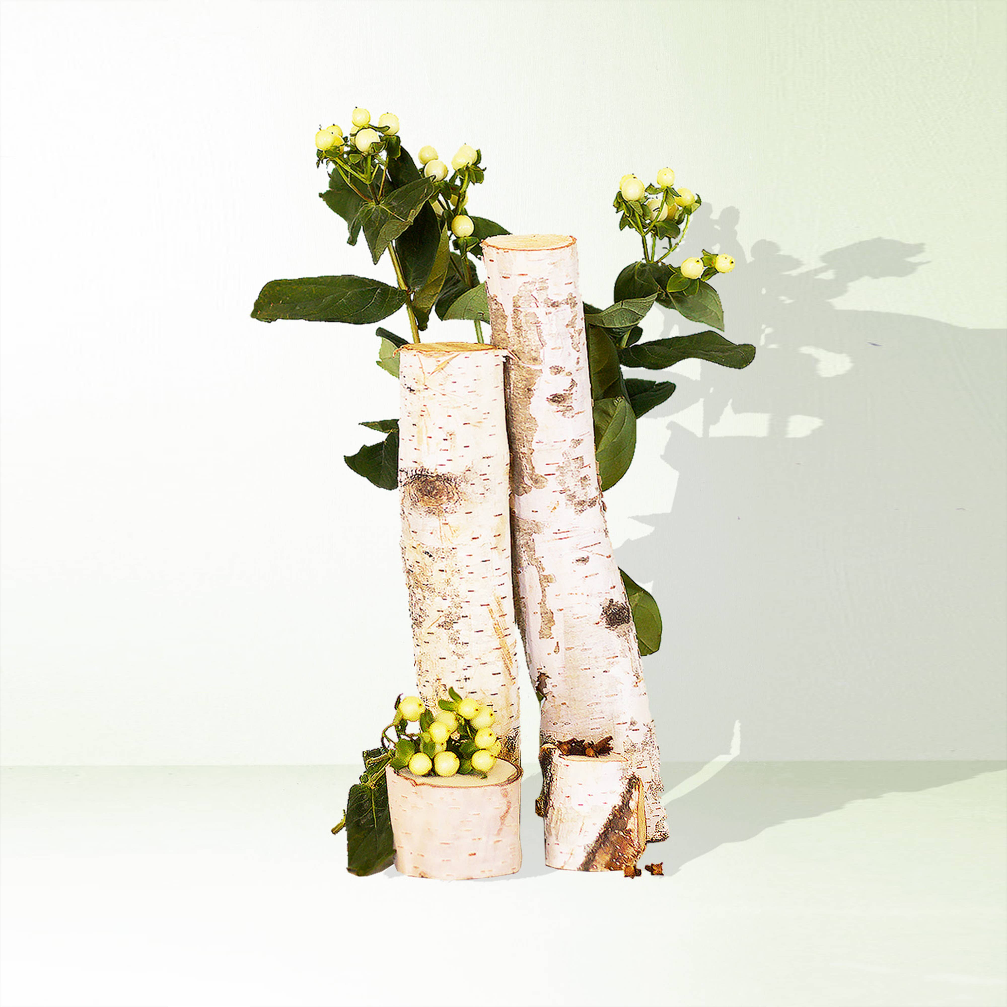 Bayberry + Birch Mini Candle - DIGS