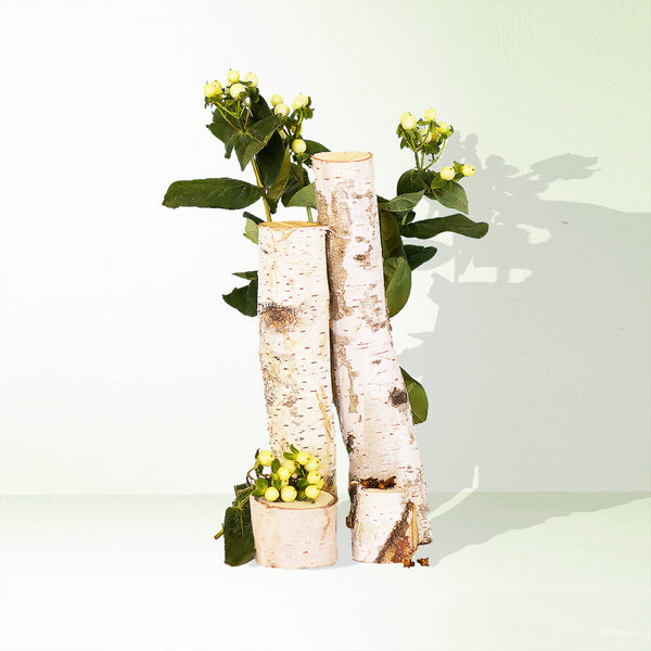 Bayberry + Birch Mini Candle - DIGS