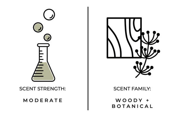 Bayberry + Birch Mini Candle - DIGS