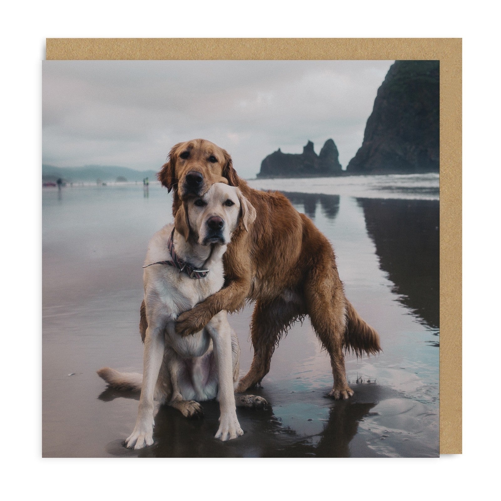 Beach Dogs Hug Card - DIGS