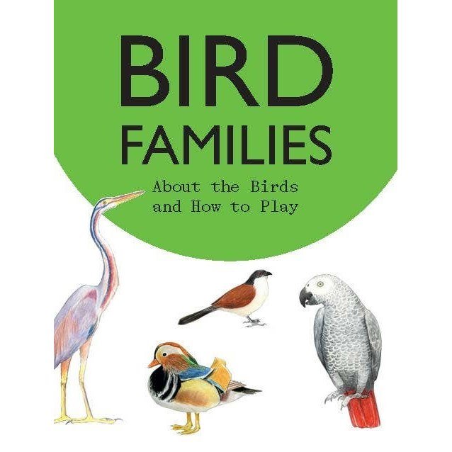 Bird Families Game - DIGS
