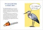 Bird Talk: Hilariously Accurate Ways to Identify Birds - DIGS
