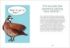 Bird Talk: Hilariously Accurate Ways to Identify Birds - DIGS