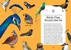 Bird Talk: Hilariously Accurate Ways to Identify Birds - DIGS
