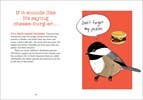 Bird Talk: Hilariously Accurate Ways to Identify Birds - DIGS
