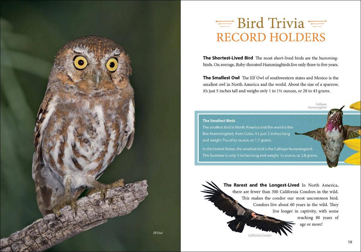 Bird Trivia - DIGS