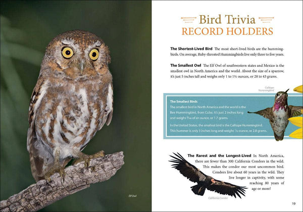 Bird Trivia - DIGS