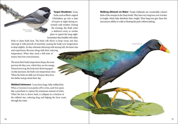 Bird Trivia - DIGS