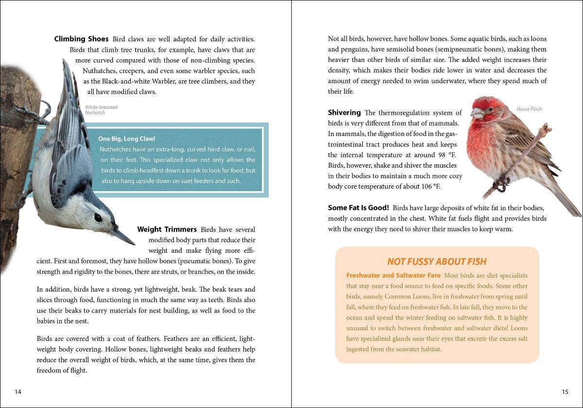 Bird Trivia - DIGS