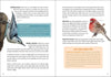 Bird Trivia - DIGS