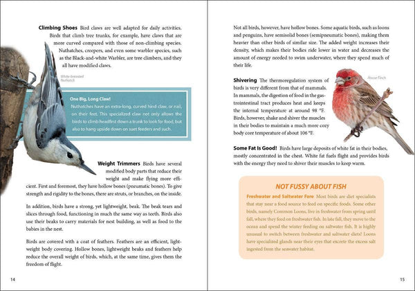 Bird Trivia - DIGS