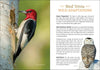 Bird Trivia - DIGS