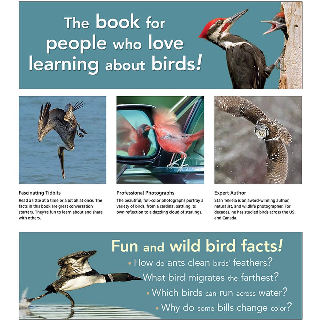 Bird Trivia - DIGS