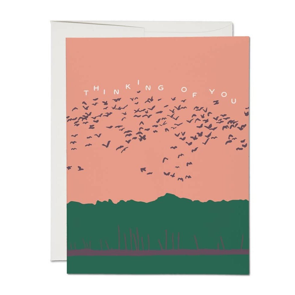 Birds in Flight Card - DIGS